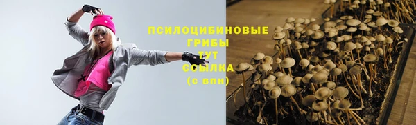 2c-b Балахна