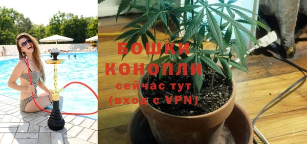 трава Баксан