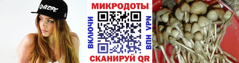 Псилоцибиновые грибы Psilocybine cubensis  где купить наркоту  Буинск 
